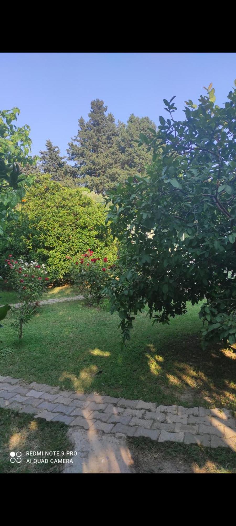 Sakli Bahce Pension Çıralı Luaran gambar