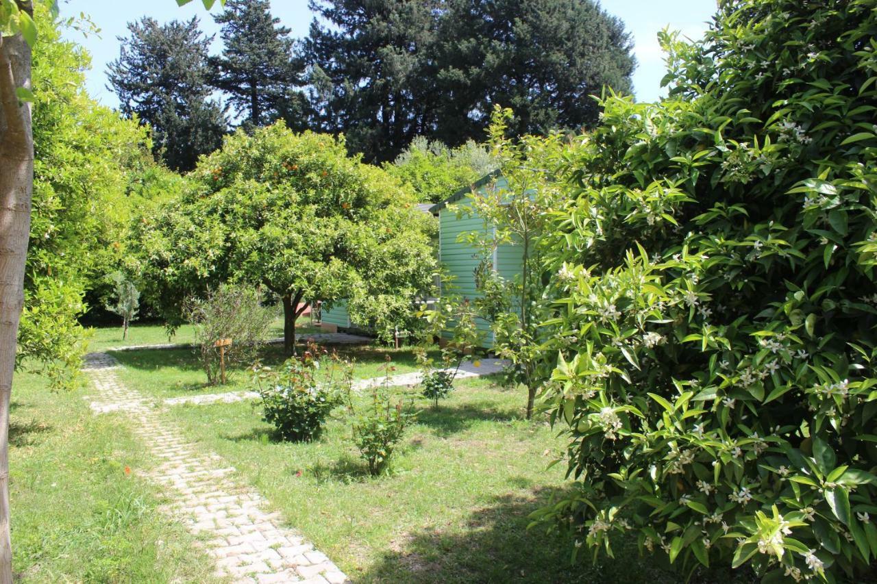 Sakli Bahce Pension Çıralı Luaran gambar