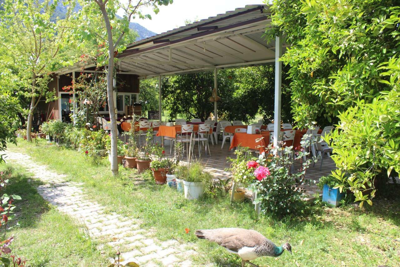 Sakli Bahce Pension Çıralı Luaran gambar