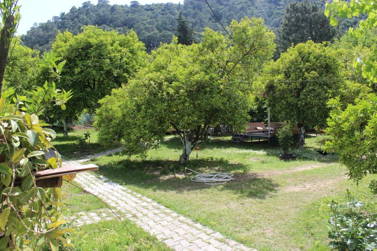 Sakli Bahce Pension Çıralı Luaran gambar