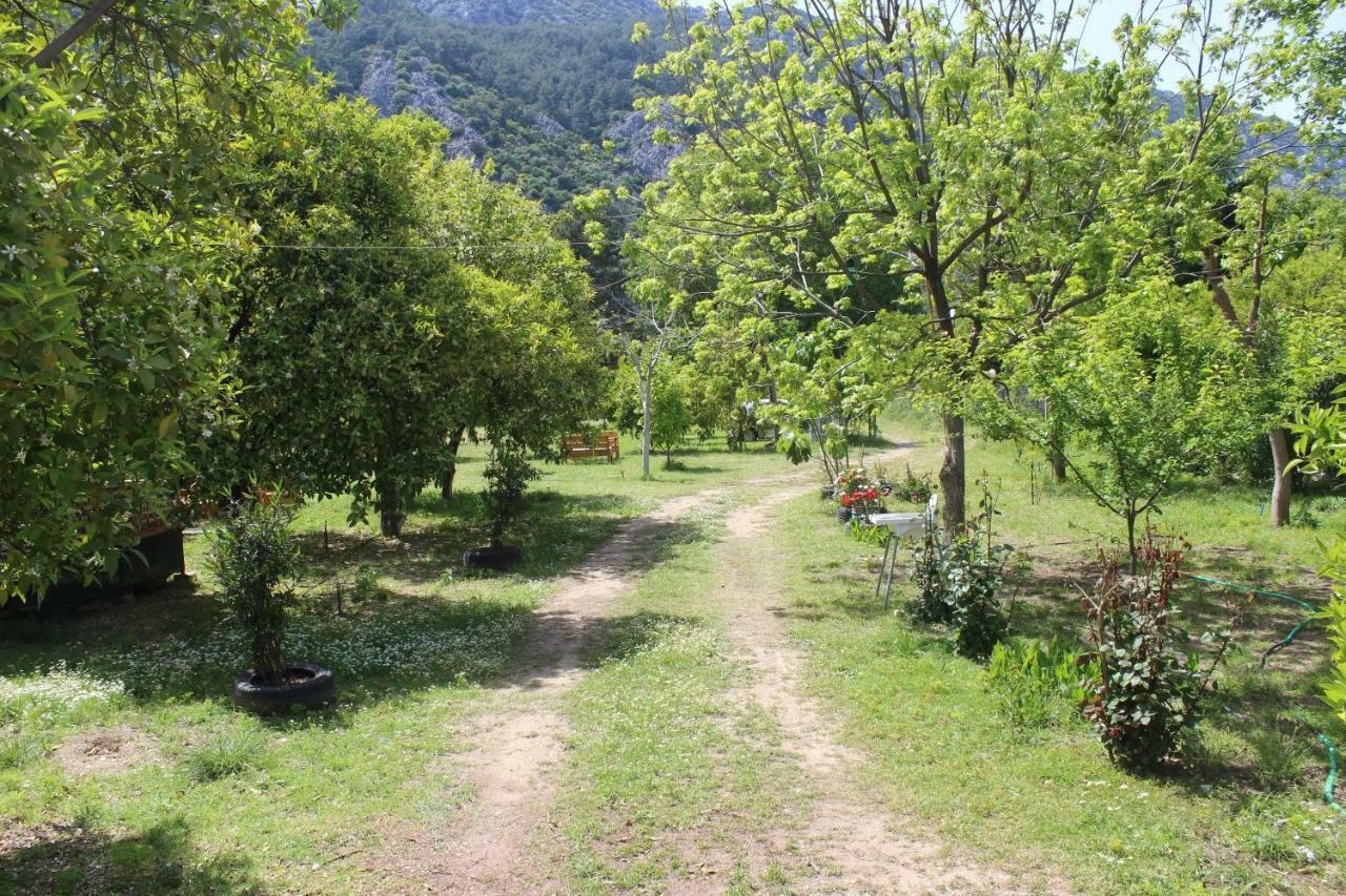 Sakli Bahce Pension Çıralı Luaran gambar