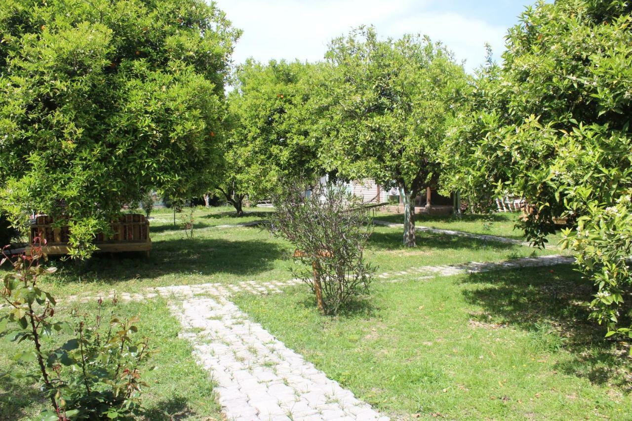 Sakli Bahce Pension Çıralı Luaran gambar