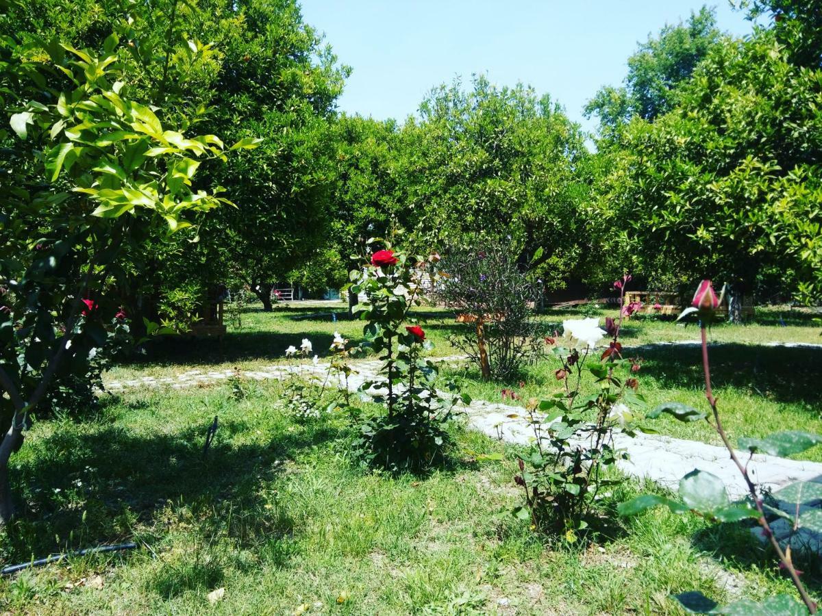 Sakli Bahce Pension Çıralı Luaran gambar